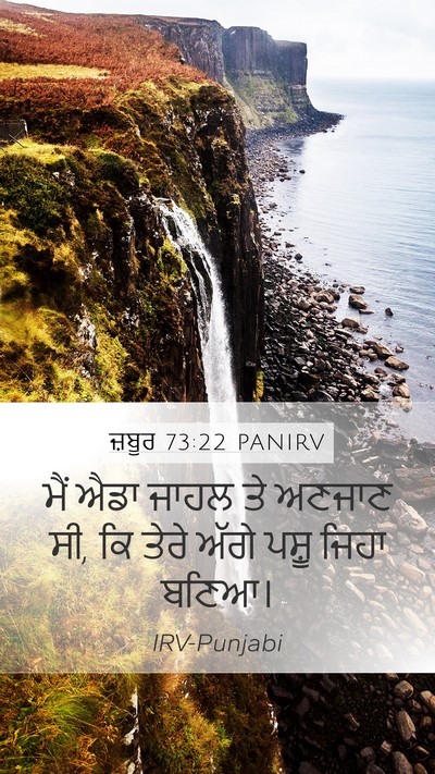 ਜ਼ਬੂਰ 73:22 PANIRV Bible Verse Image