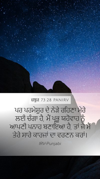 ਜ਼ਬੂਰ 73:28 PANIRV Bible Verse Image