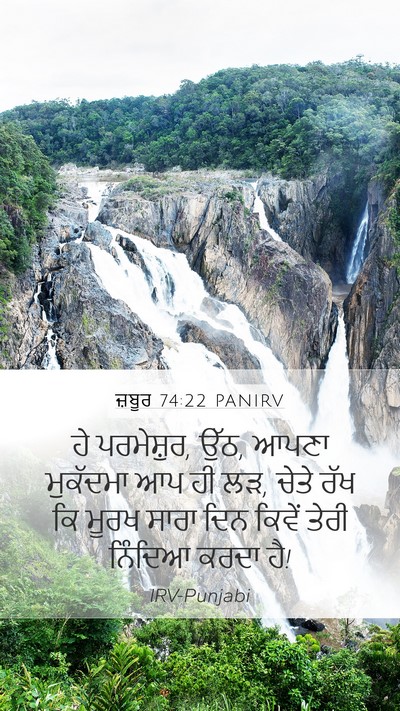 ਜ਼ਬੂਰ 74:22 PANIRV Bible Verse Image