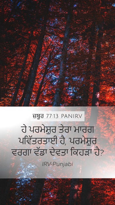 ਜ਼ਬੂਰ 77:13 PANIRV Bible Verse Image