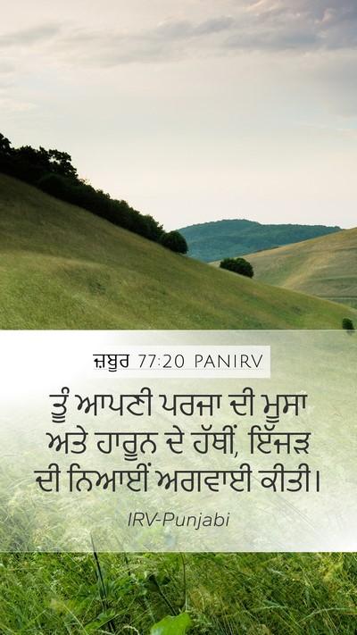 ਜ਼ਬੂਰ 77:20 PANIRV Bible Verse Image