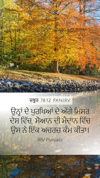 ਜ਼ਬੂਰ 78:12 PANIRV Bible Verse Image
