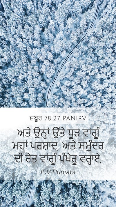 ਜ਼ਬੂਰ 78:27 PANIRV Bible Verse Image