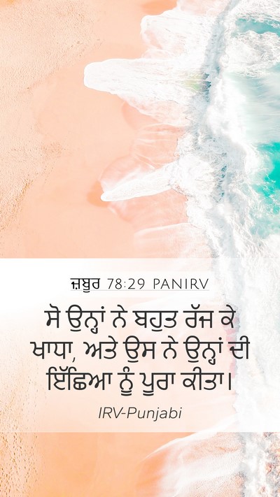 ਜ਼ਬੂਰ 78:29 PANIRV Bible Verse Image