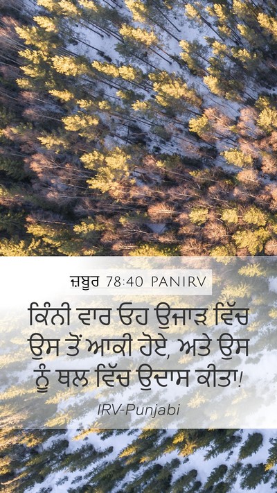 ਜ਼ਬੂਰ 78:40 PANIRV Bible Verse Image