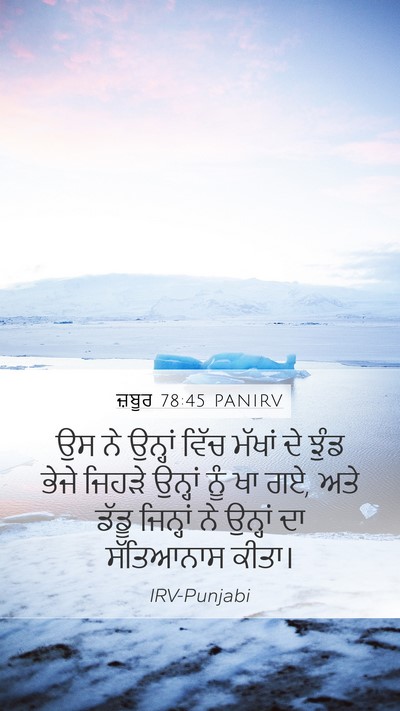 ਜ਼ਬੂਰ 78:45 PANIRV Mobile Phone Wallpaper - ਉਸ ਨੇ ਉਨ੍ਹਾਂ ਵਿੱਚ - Mobile Bible Verse Wallpaper