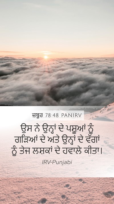 ਜ਼ਬੂਰ 78:48 PANIRV Mobile Phone Wallpaper - ਉਸ ਨੇ ਉਨ੍ਹਾਂ ਦੇ - Mobile Bible Verse Wallpaper