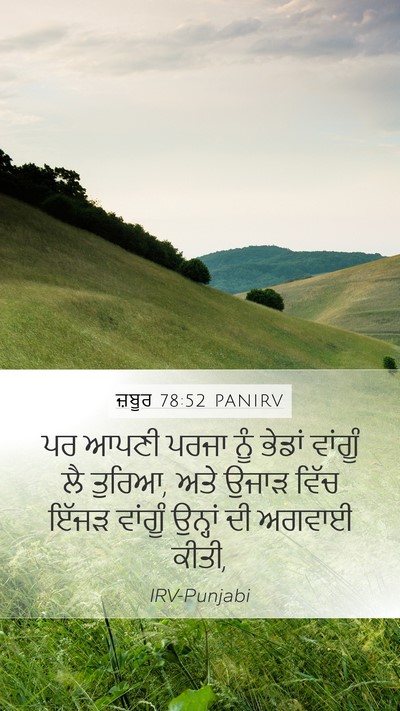 ਜ਼ਬੂਰ 78:52 PANIRV Bible Verse Image