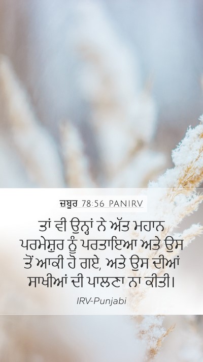 ਜ਼ਬੂਰ 78:56 PANIRV Bible Verse Image