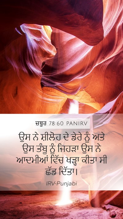 ਜ਼ਬੂਰ 78:60 PANIRV Bible Verse Image
