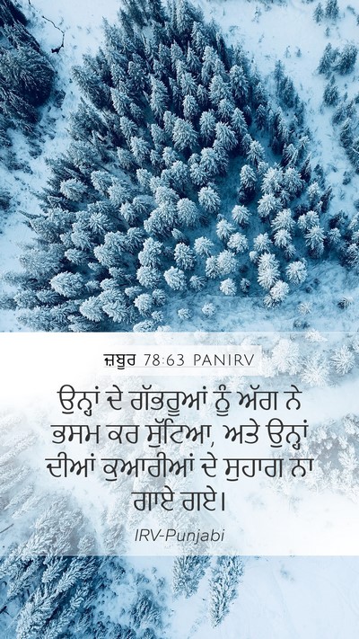 ਜ਼ਬੂਰ 78:63 PANIRV Mobile Phone Wallpaper - ਉਨ੍ਹਾਂ ਦੇ ਗੱਭਰੂਆਂ - Mobile Bible Verse Wallpaper