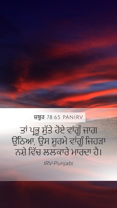 ਜ਼ਬੂਰ 78:65 PANIRV Bible Verse Image