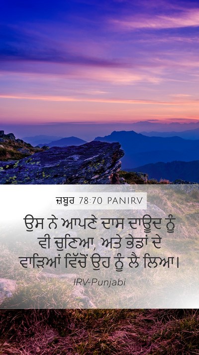 ਜ਼ਬੂਰ 78:70 PANIRV Bible Verse Image