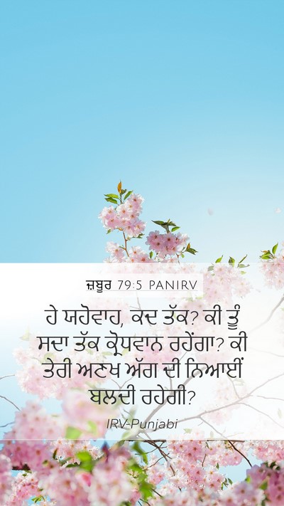 ਜ਼ਬੂਰ 79:5 PANIRV Bible Verse Image