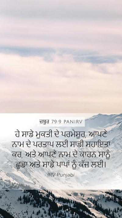 ਜ਼ਬੂਰ 79:9 PANIRV Bible Verse Image