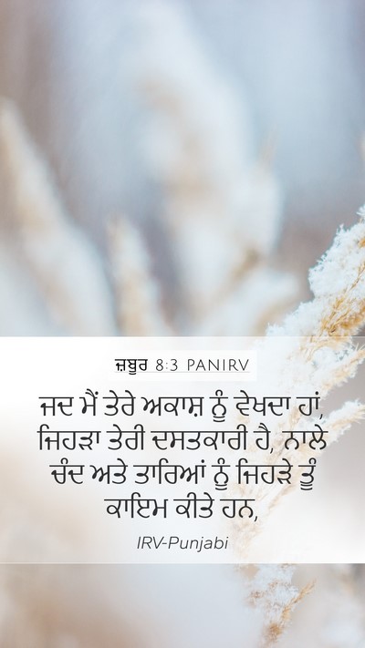 ਜ਼ਬੂਰ 8:3 PANIRV Bible Verse Image