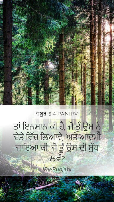 ਜ਼ਬੂਰ 8:4 PANIRV Bible Verse Image