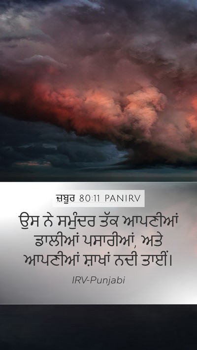 ਜ਼ਬੂਰ 80:11 PANIRV Bible Verse Image