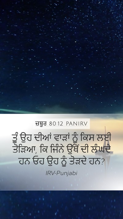 ਜ਼ਬੂਰ 80:12 PANIRV Mobile Phone Wallpaper - ਤੂੰ ਉਹ ਦੀਆਂ ਵਾੜਾਂ - Mobile Bible Verse Wallpaper