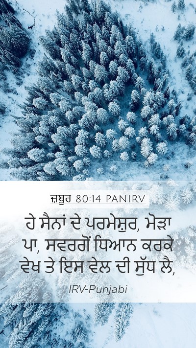 ਜ਼ਬੂਰ 80:14 PANIRV Bible Verse Image