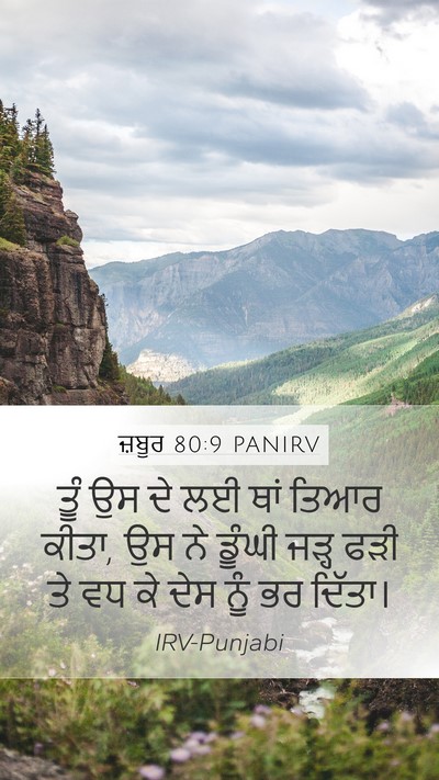 ਜ਼ਬੂਰ 80:9 PANIRV Bible Verse Image