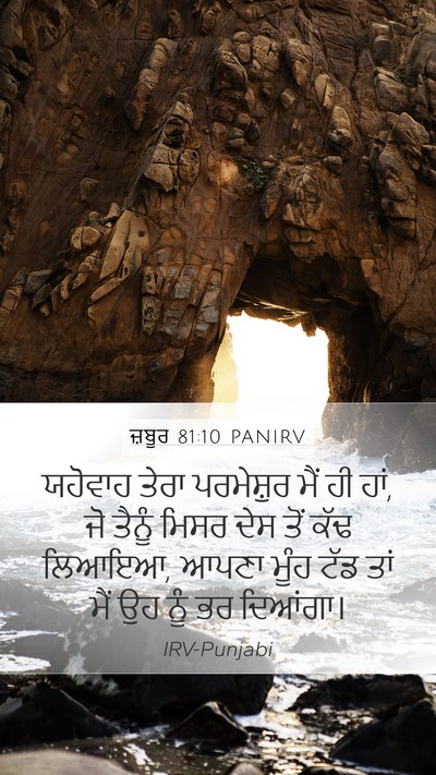 ਜ਼ਬੂਰ 81:10 PANIRV Bible Verse Image