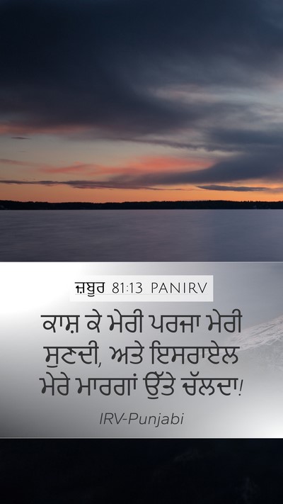 ਜ਼ਬੂਰ 81:13 PANIRV Bible Verse Image