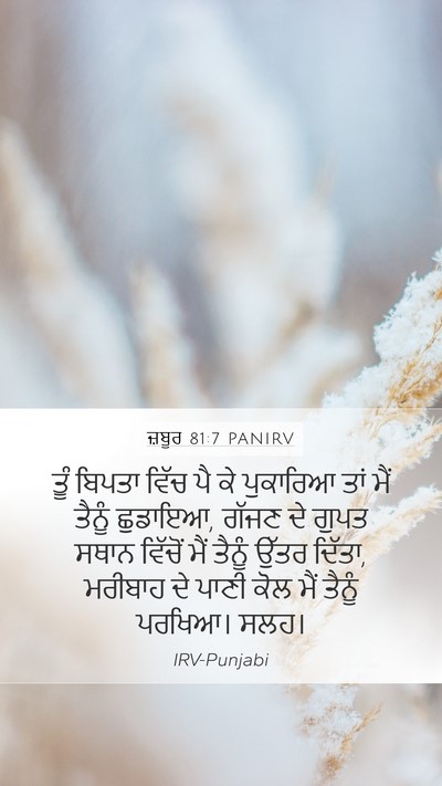 ਜ਼ਬੂਰ 81:7 PANIRV Bible Verse Image