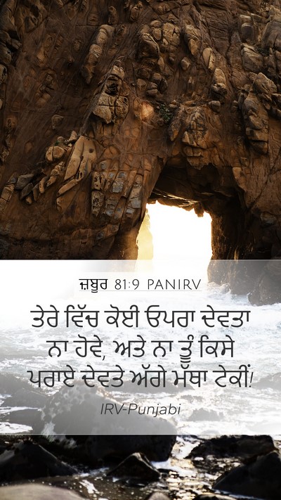 ਜ਼ਬੂਰ 81:9 PANIRV Bible Verse Image