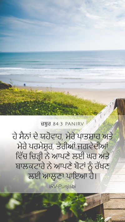 ਜ਼ਬੂਰ 84:3 PANIRV Bible Verse Image