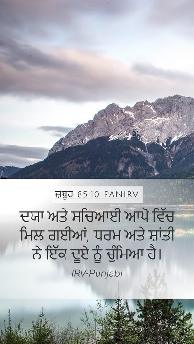 ਜ਼ਬੂਰ 85:10 PANIRV Bible Verse Image