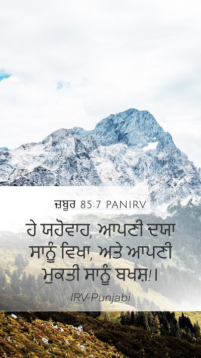 ਜ਼ਬੂਰ 85:7 PANIRV Bible Verse Image
