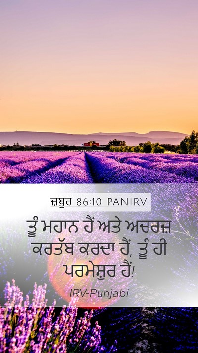 ਜ਼ਬੂਰ 86:10 PANIRV Bible Verse Image