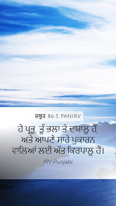 ਜ਼ਬੂਰ 86:5 PANIRV Bible Verse Image