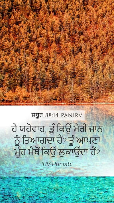 ਜ਼ਬੂਰ 88:14 PANIRV Bible Verse Image