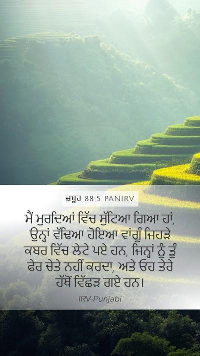 ਜ਼ਬੂਰ 88:5 PANIRV Bible Verse Image