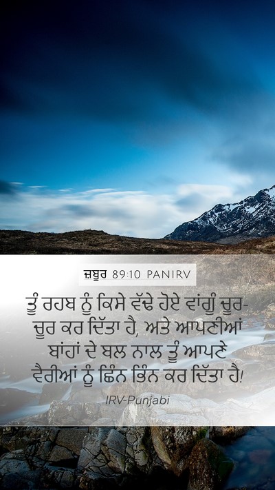 ਜ਼ਬੂਰ 89:10 PANIRV Bible Verse Image