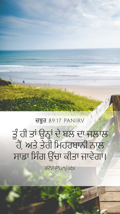 ਜ਼ਬੂਰ 89:17 PANIRV Bible Verse Image