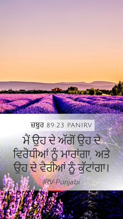 ਜ਼ਬੂਰ 89:23 PANIRV Bible Verse Image