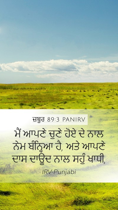 ਜ਼ਬੂਰ 89:3 PANIRV Bible Verse Image