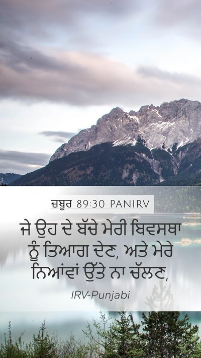 ਜ਼ਬੂਰ 89:30 PANIRV Bible Verse Image
