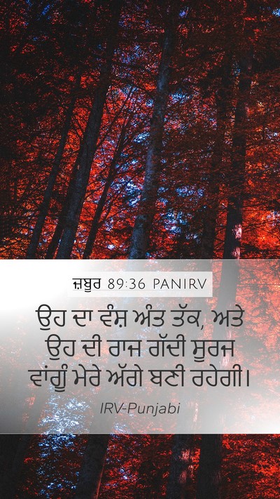 ਜ਼ਬੂਰ 89:36 PANIRV Bible Verse Image