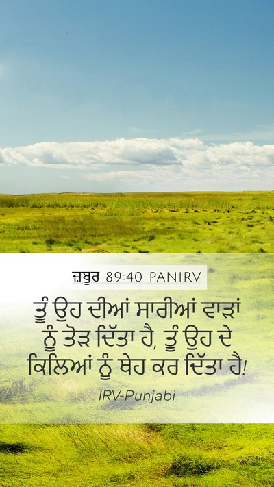 ਜ਼ਬੂਰ 89:40 PANIRV Bible Verse Image