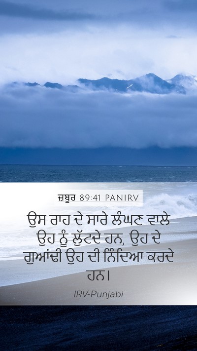 ਜ਼ਬੂਰ 89:41 PANIRV Bible Verse Image
