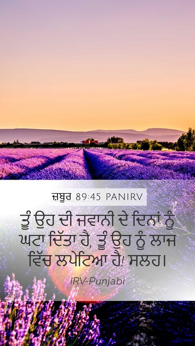 ਜ਼ਬੂਰ 89:45 PANIRV Bible Verse Image