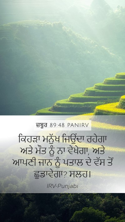 ਜ਼ਬੂਰ 89:48 PANIRV Bible Verse Image