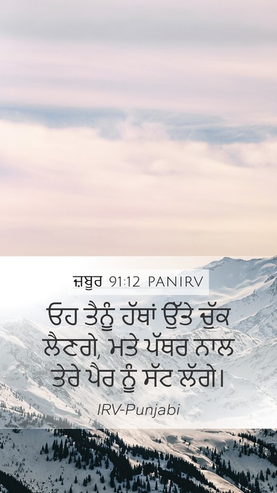 ਜ਼ਬੂਰ 91:12 PANIRV Bible Verse Image