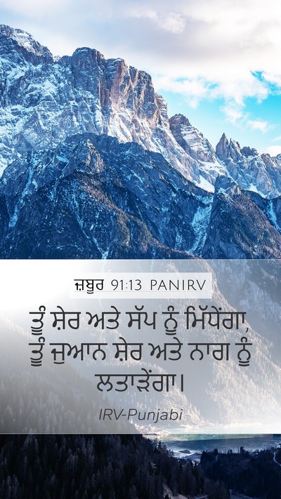 ਜ਼ਬੂਰ 91:13 PANIRV Bible Verse Image