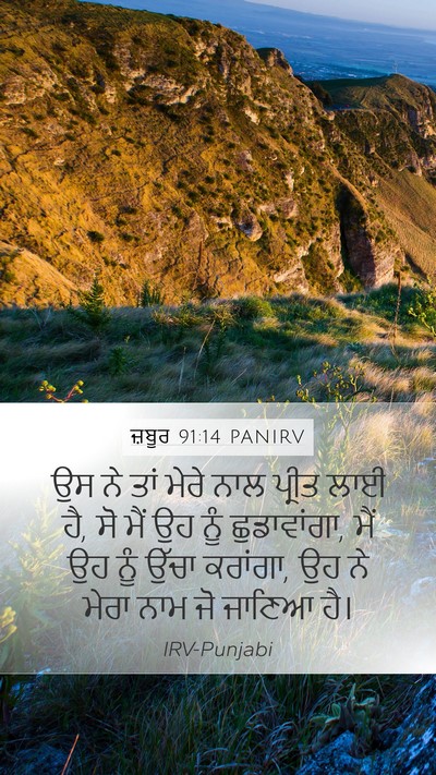 ਜ਼ਬੂਰ 91:14 PANIRV Bible Verse Image