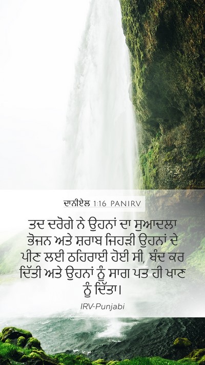 ਦਾਨੀਏਲ 1:16 PANIRV Bible Verse Image